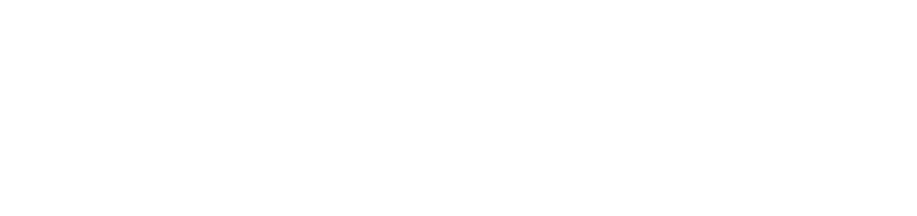 The Astra Protocol